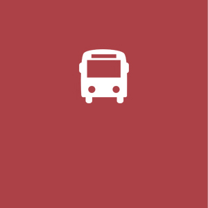 BUS Info.